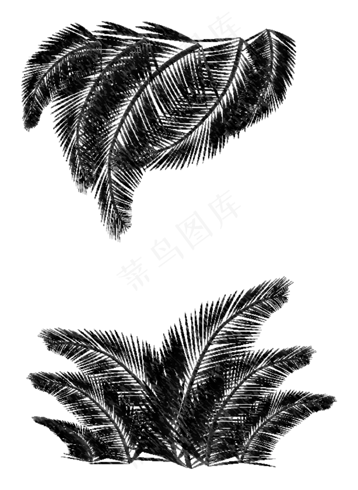 素描叶子(2559*3497px 300 dpi )ai矢量模版下载