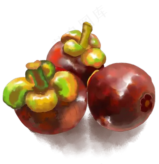 水彩小清新水果黑紫色山竹