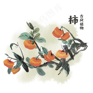 古风植物柿子女子,免抠元素
