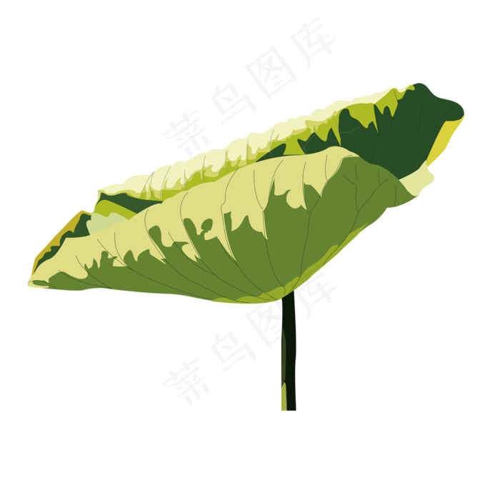 植物荷花夏天简笔画简约光影(2000X2000(DPI:300))ai矢量模版下载