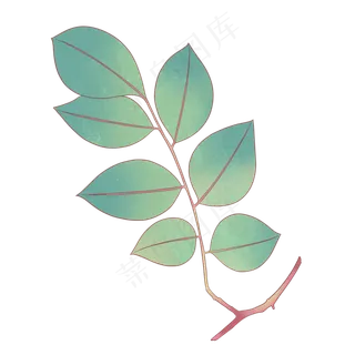 春季工笔画绿色植物,免抠元素
