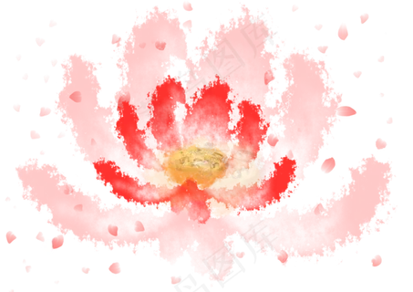 夏日盛开娇艳荷花 夏日盛开娇艳荷花