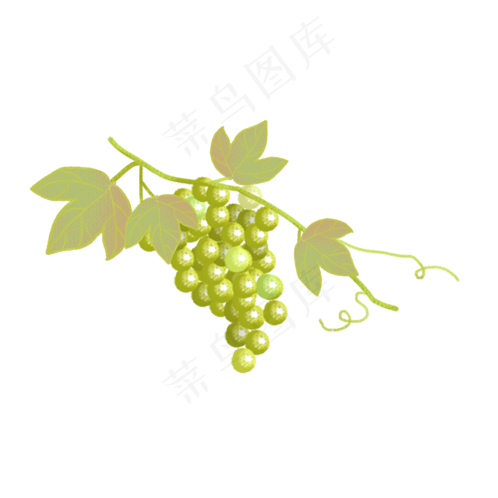 手绘水果png素材(2000X2000(DPI:72))psd模版下载