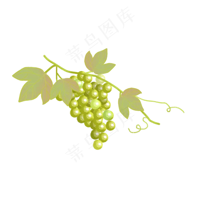 手绘水果png素材(2000X2000(DPI:72))psd模版下载