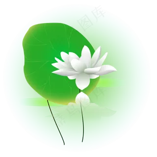 夏日荷花清新精美