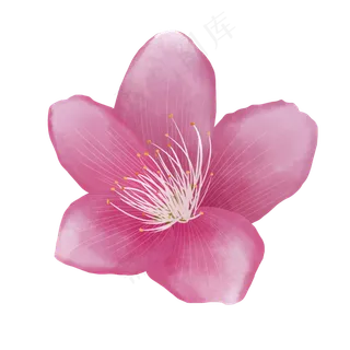 中国风花朵水彩古风