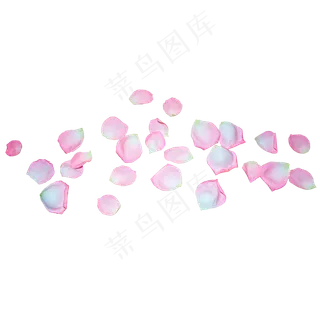 粉色玫瑰花瓣 粉色玫瑰花瓣