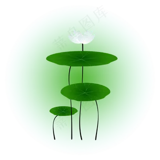 夏日荷花清新精美