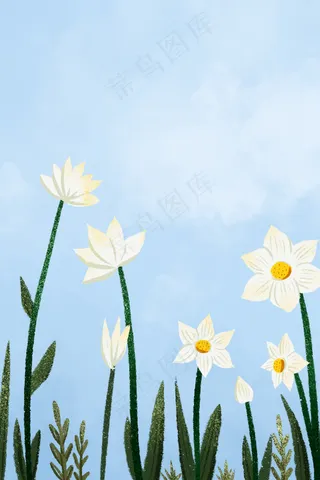 天空下的白色花朵小清新