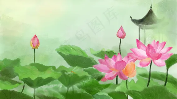 夏季凉亭碧盖荷花满塘