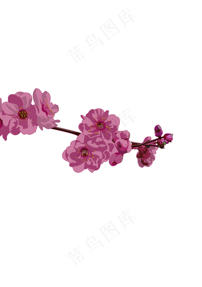 春分樱花免扣元素,免抠元素