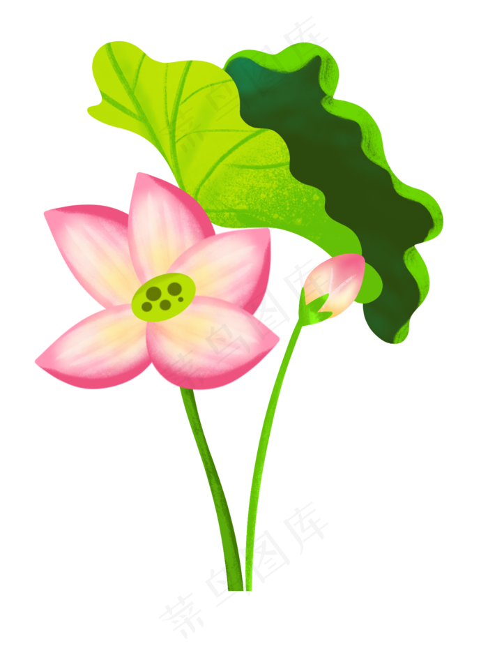荷花荷叶莲花(2000X2645(DPI:300))psd模版下载