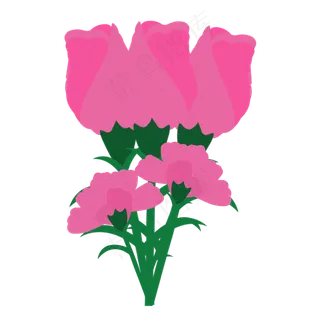 手绘装饰康乃馨花卉