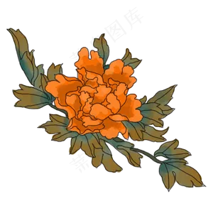 中国风手绘花卉插图,免抠元素