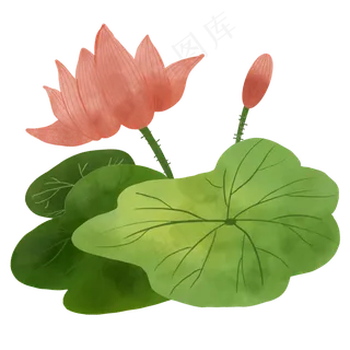 大暑节气设计 大暑节气设计