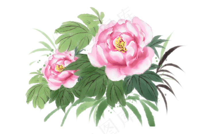 水墨水彩牡丹花开手绘插画