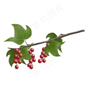 手绘水果png素材