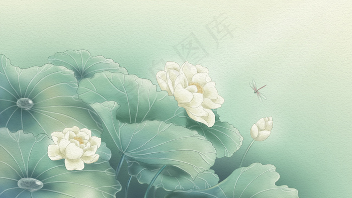 夏天工笔画荷叶荷花配图(2880*1620px 300 dpi )