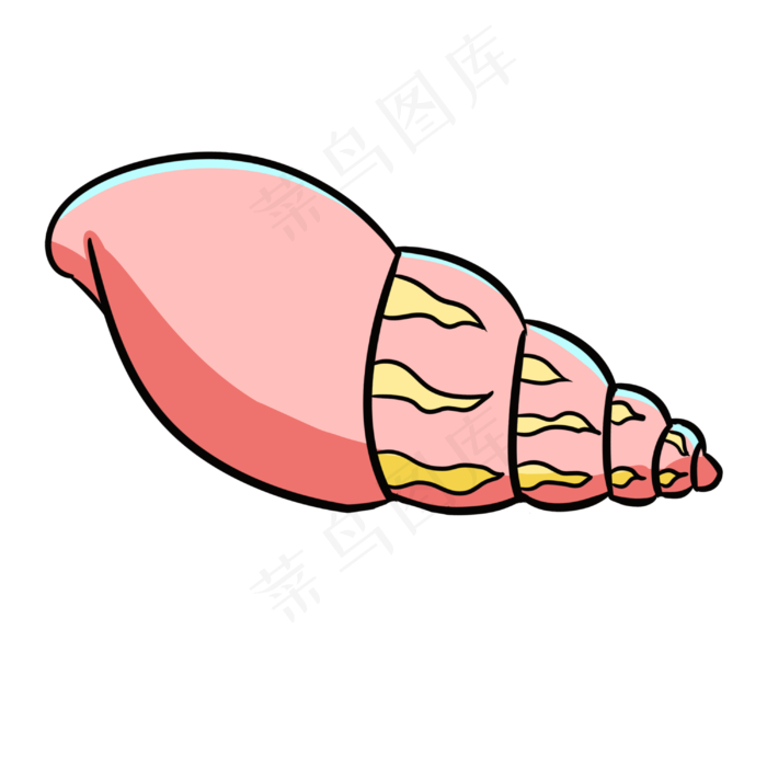 手绘彩色海螺插画