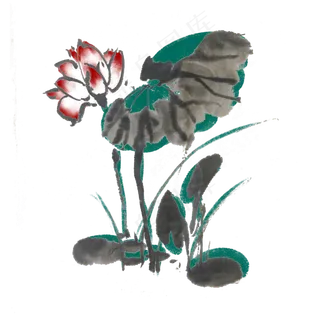 夏季手绘荷花水墨