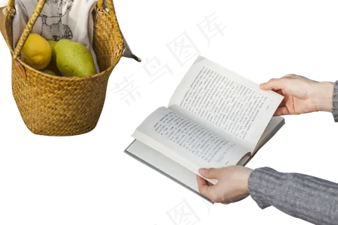 秋日郊游野餐看书