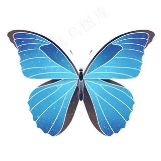 水彩蓝色蝴蝶