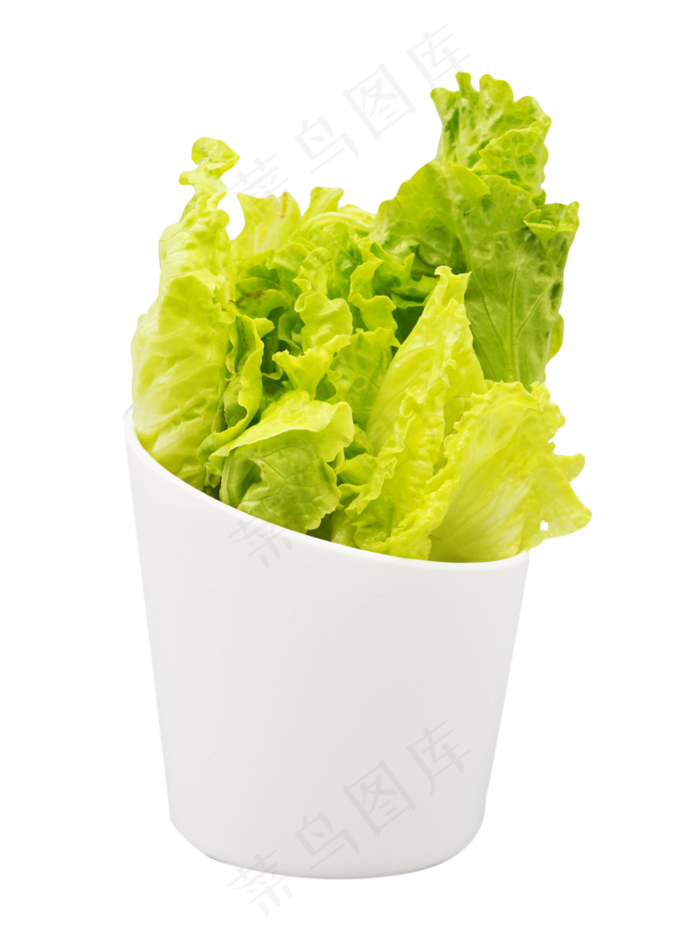 新鲜蔬菜生菜(3000*4000px 300 dpi )
