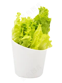 新鲜蔬菜生菜 新鲜蔬菜生菜
