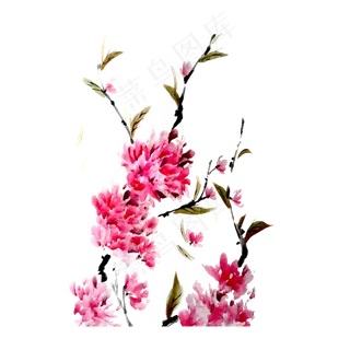 樱花水墨国画桃花PNG花鸟,免抠元素