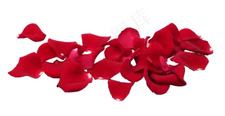 红色玫瑰花瓣,免抠元素