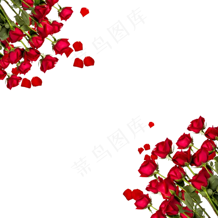 情人节红玫瑰边框(2000X2000(DPI:150))psd模版下载