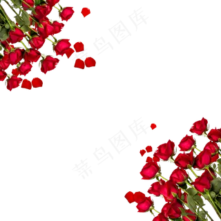 情人节红玫瑰边框