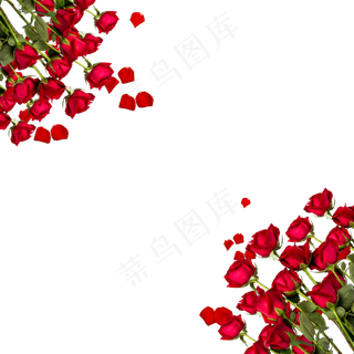 情人节红玫瑰边框