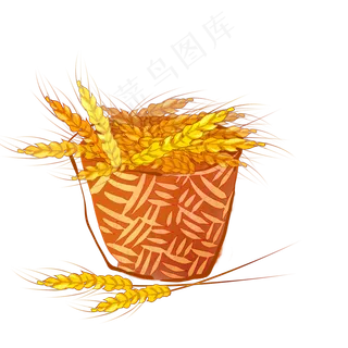 手绘麦穗芒种二十四节气插图