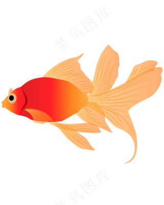 矢量手绘红色的鱼,免抠元素