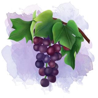 手绘树上新鲜水果提子葡萄元素