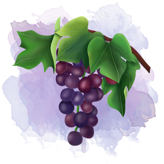 手绘树上新鲜水果提子葡萄元素