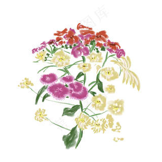 彩色花束新鲜花朵绘画