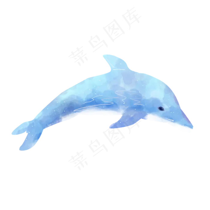 水彩动物海豚素材(2000X2000(DPI:300))psd模版下载