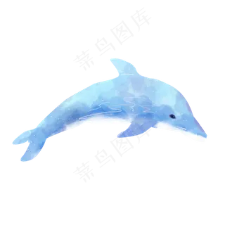 水彩动物海豚素材