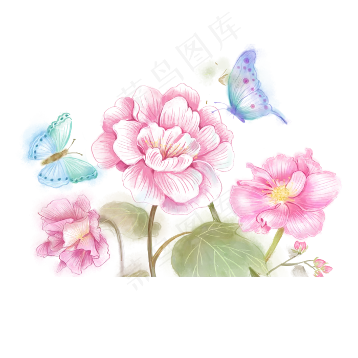 水彩花鸟十二月花信之十月芙蓉花,免抠元素