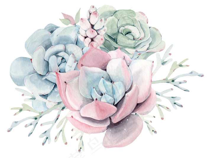 手绘卡通多肉花草装饰,免抠元素