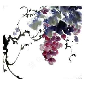 葡萄提子紫色水晶水果国画水墨P