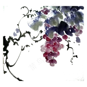 葡萄提子紫色水晶水果国画水墨P