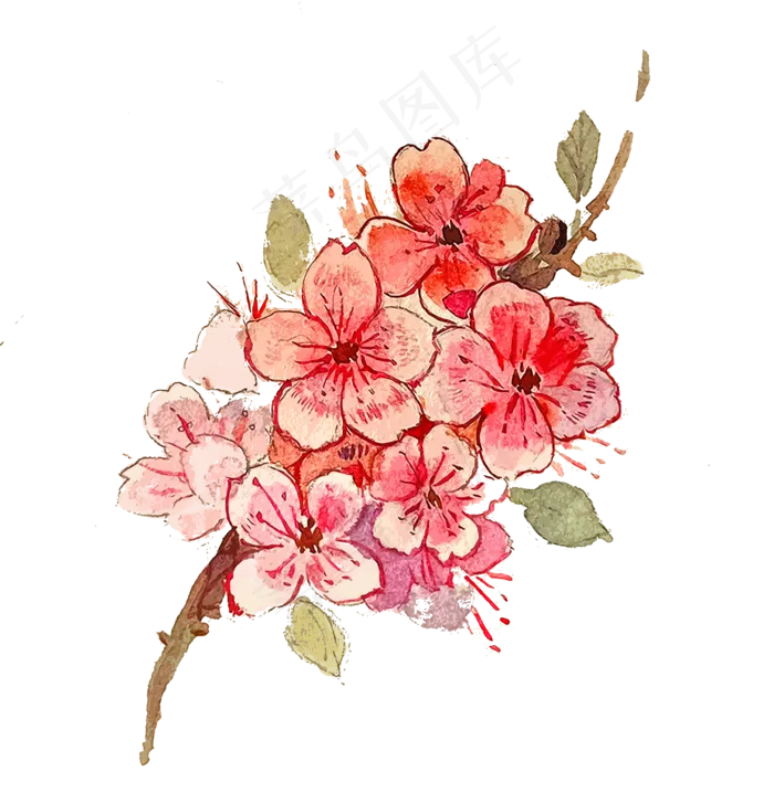 绣球花卉*花粉色PNG唯美(1125X2436(DPI:72))psd模版下载