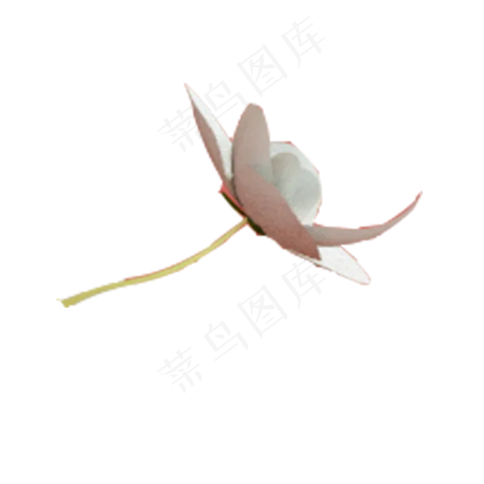 卡通白色花朵下载(2000X2000(DPI:300))psd模版下载