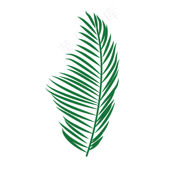 创意卡通绿色棕榈叶叶子图,免抠元素