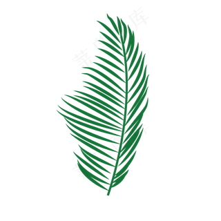 创意卡通绿色棕榈叶叶子图,免抠元素
