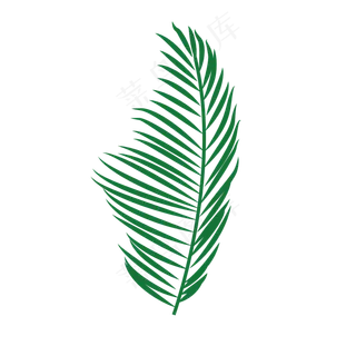 创意卡通绿色棕榈叶叶子图,免抠元素