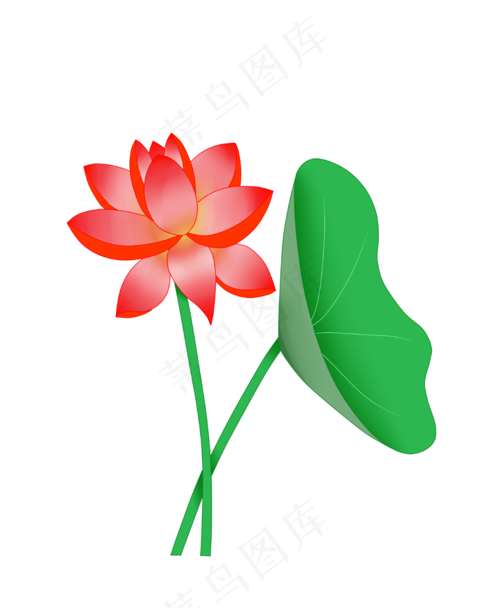 夏季荷花荷叶PNG图案